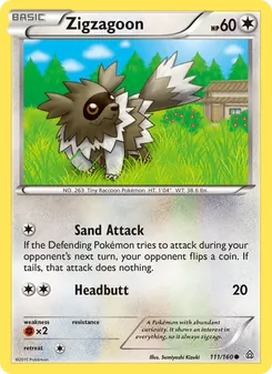 Zigzagoon, Primal Clash, no. 111