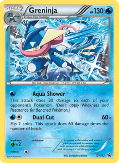 Greninja, XY Black Star Promos, no. XY162