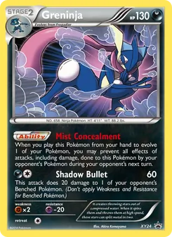 Greninja, XY Black Star Promos, no. XY24