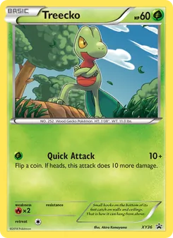 Treecko, XY Black Star Promos, no. XY36