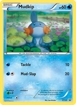 Mudkip, XY Black Star Promos, no. XY38