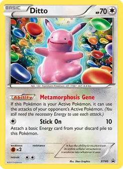 Ditto, XY Black Star Promos, no. XY40