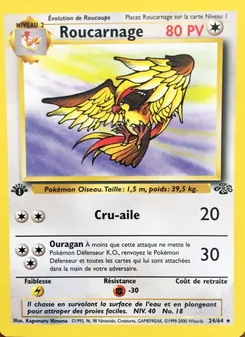 Roucarnage, Jungle, n° 24