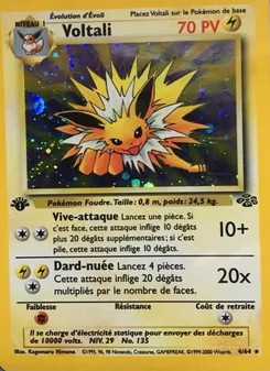 Voltali, Jungle, n° 4