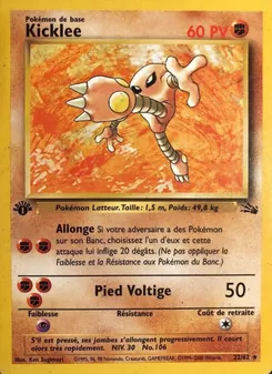 Kicklee, Fossile, n° 22