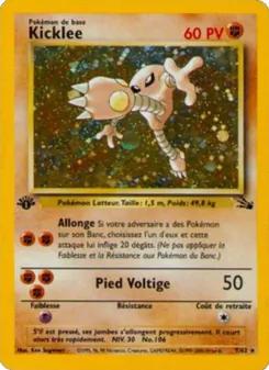 Kicklee, Fossile, n° 7