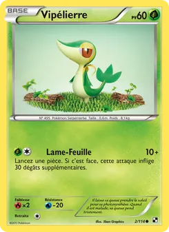 Vipélierre, Noir & Blanc, n° 2
