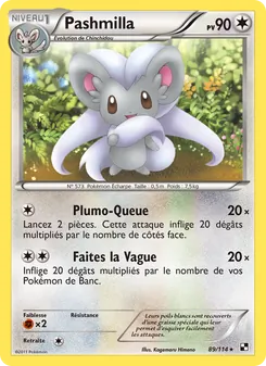 Pashmilla, Noir & Blanc, n° 89