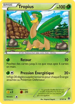 Tropius, Explosion Plasma, n° 5