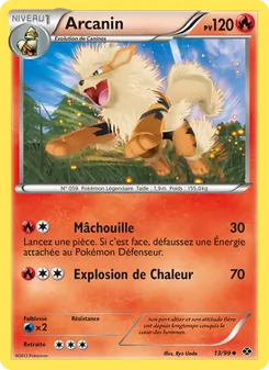 Arcanin, Destinées Futures, n° 13