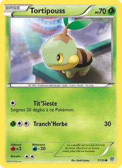 Tortipouss, Tempète Plasma, n° 1
