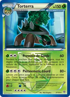 Torterra, Tempète Plasma, n° 3