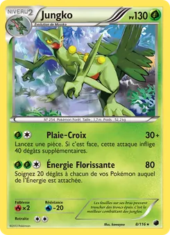 Jungko, Glaciation Plasma, n° 8