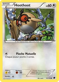 Hoothoot, Glaciation Plasma, n° 91