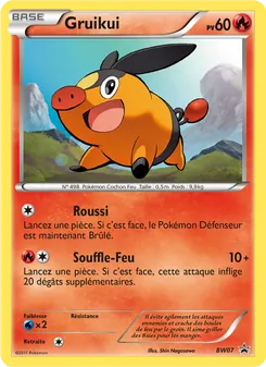 Gruikui, Promo BW, n° BW07