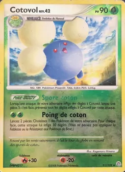 Cotovol, Merveilles Secrètes, n° 11