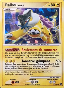 Raikou, Merveilles Secrètes, n° 16