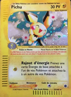Pichu, Expedition, n° 22