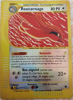 Roucarnage, Expedition, n° 23