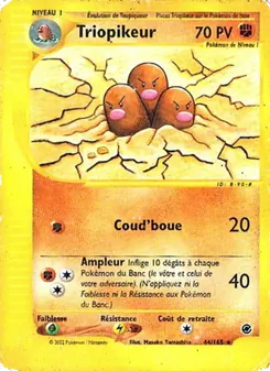 Triopikeur, Expedition, n° 44