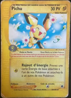 Pichu, Expedition, n° 58