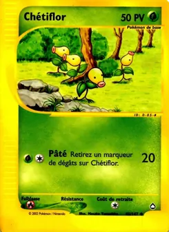 Chétiflor, Aquapolis, n° 45