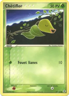 Chétiflor, EX Rouge Feu & Vert Feuille, n° 53