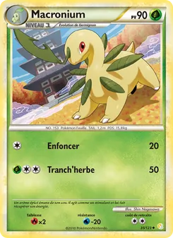 Macronium, HeartGold SoulSilver, n° 35