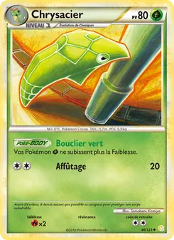 Chrysacier, HeartGold SoulSilver, n° 46