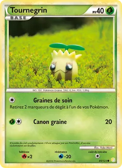 Tournegrin, HeartGold SoulSilver, n° 85