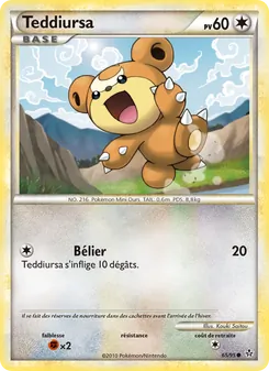 Teddiursa, Déchaînement, n° 65