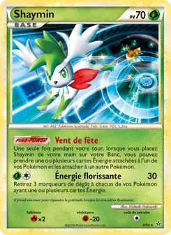 Shaymin, Déchaînement, n° 8