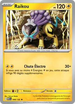 Raikou, Méga-Évolution, n° 048