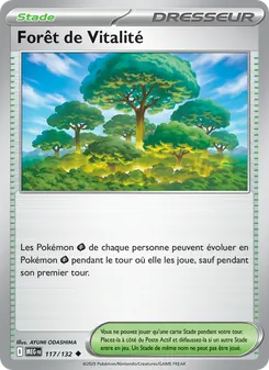 Forêt de Vitalité, Méga-Évolution, n° 117