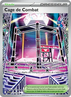 Cage de Combat, Flammes Fantasmagoriques, n° 116