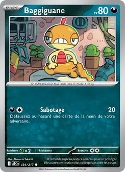 Baggiguane, Héros Transcendants, n° 134
