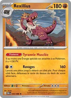Rexillius, Équilibre Parfait, n° 045