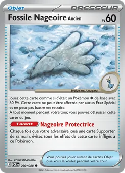 Fossile Nageoire Ancien, Équilibre Parfait, n° 069
