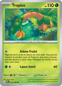 Tropius, Nuit Noire, n° 001
