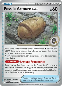 Fossile Armure Ancien, Nuit Noire, n° 072