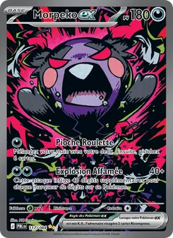 Morpeko-ex, Nuit Noire, n° 117