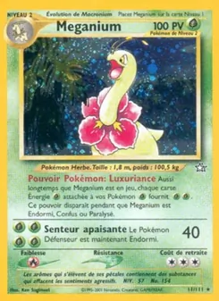 Méganium, Neo Genesis, n° 11