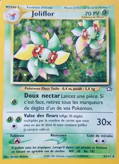 Joliflor, Neo Genesis, n° 3