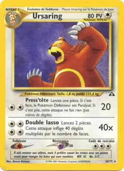Ursaring, Neo Discovery, n° 34