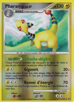 Pharamp, Platine, n° 1