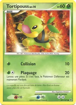 Tortipouss, Platine, n° 101