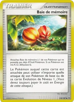 Baie de mémoire, Platine, n° 110