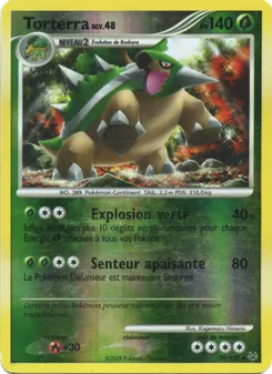Torterra, Platine, n° 39