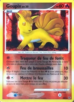 Goupix, Platine, n° SH6