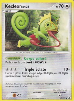 Kecleon Niv. 34, Rivaux Émergeants, n° 67